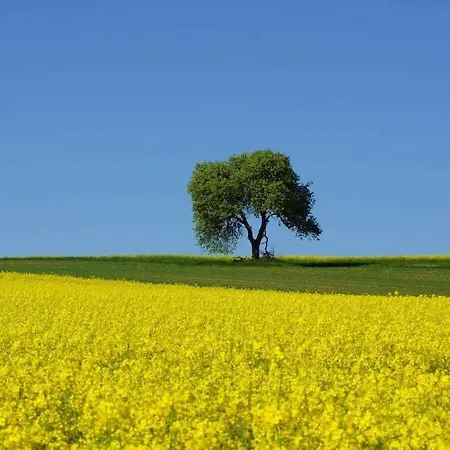 Ferienhaus One-bedroom Grafschaft