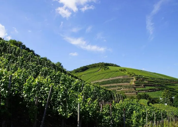 One-bedroom Grafschaft