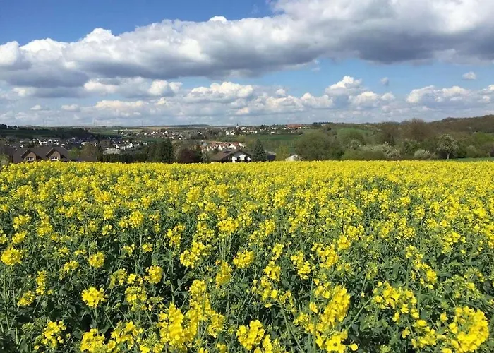 One-bedroom בית נופש Grafschaft